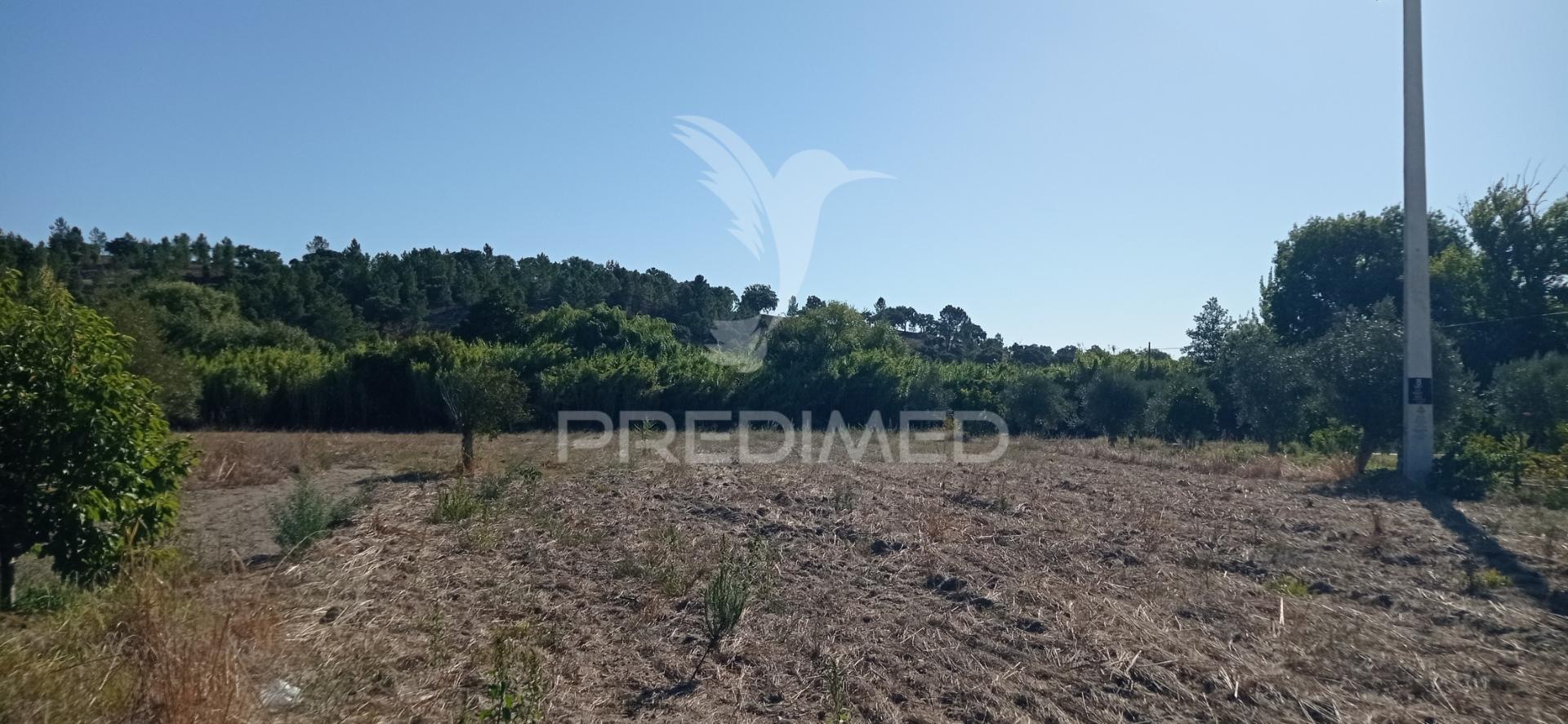Terreno rústico c/ viabilidade de construção, bemposta- abrantes