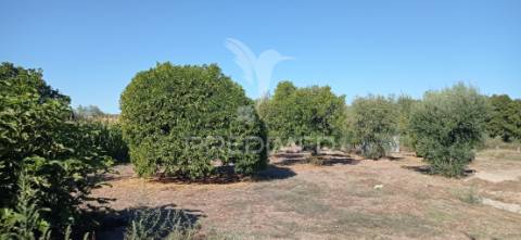 Casa típica do ribatejo, bemposta- abrantes.