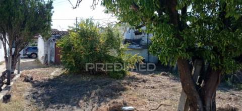 Casa típica do ribatejo, bemposta- abrantes.