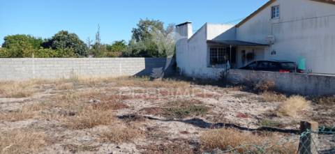 Imóvel c/ viabilidade de transformar p/ habitação  , bemposta- abrantes.