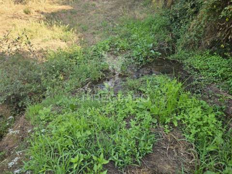 Moagem à venda junto a ribeira