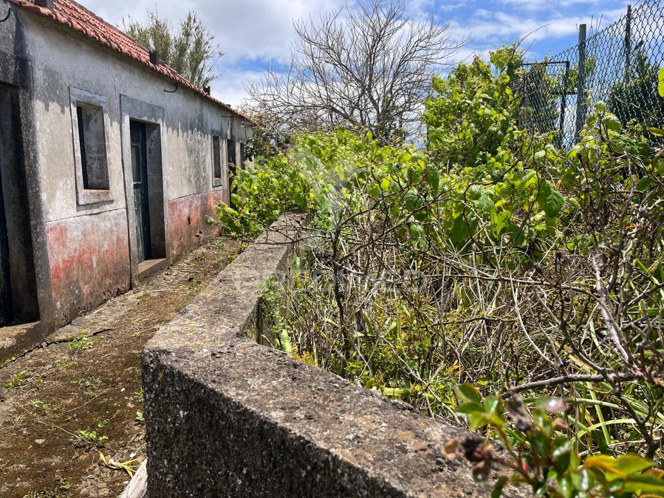 Moradia térrea para recuperar t2  com 276m2 de terreno na ponta do pargo