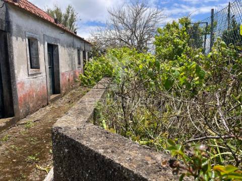 Moradia térrea para recuperar t2  com 276m2 de terreno na ponta do pargo