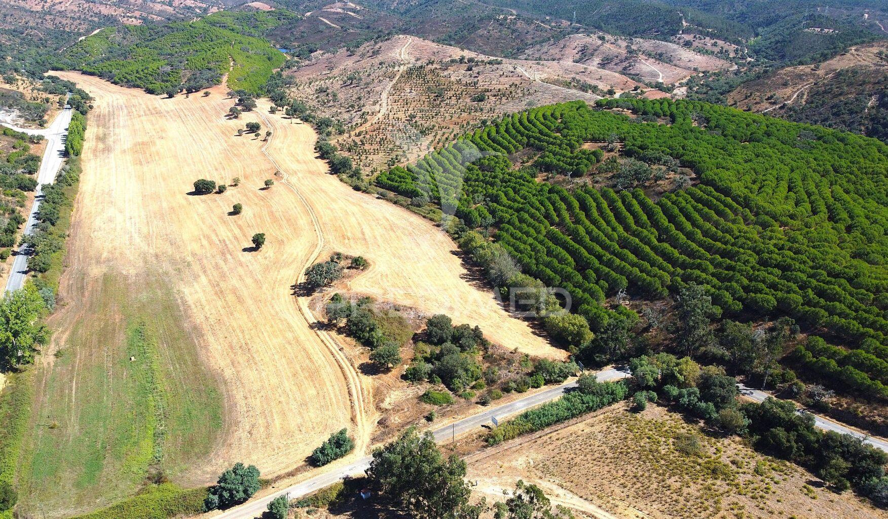 Herdade com 625,77ha em odemira