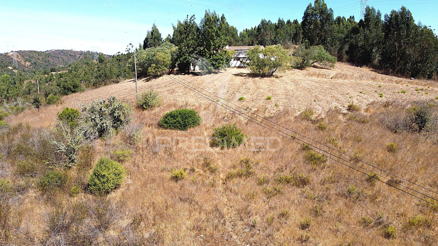 Herdade com 625,77ha em odemira