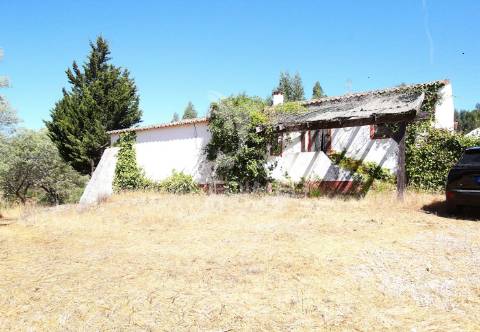 Herdade com 625,77ha em odemira