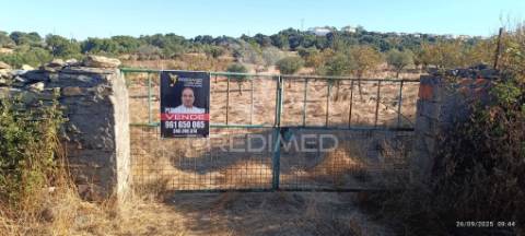 ? terreno rústico à venda – com árvores de fruto, apoio agrícola e poço de água!
