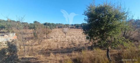 ? terreno rústico à venda – com árvores de fruto, apoio agrícola e poço de água!