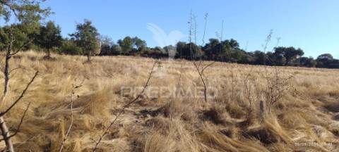 ? terreno rústico à venda – com árvores de fruto, apoio agrícola e poço de água!