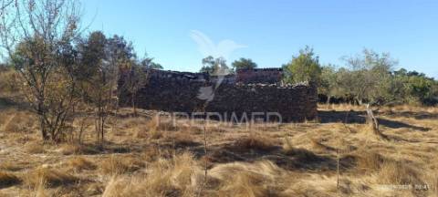 ? terreno rústico à venda – com árvores de fruto, apoio agrícola e poço de água!