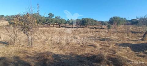 ? terreno rústico à venda – com árvores de fruto, apoio agrícola e poço de água!
