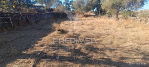 ? terreno rústico à venda – com árvores de fruto, apoio agrícola e poço de água!