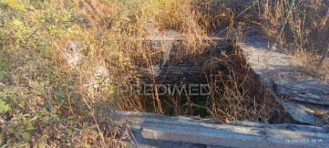 ? terreno rústico à venda – com árvores de fruto, apoio agrícola e poço de água!