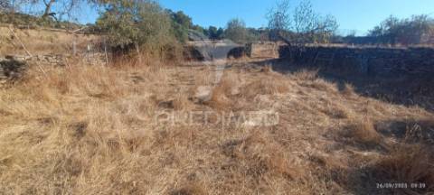 ? terreno rústico à venda – com árvores de fruto, apoio agrícola e poço de água!