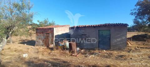 ? terreno rústico à venda – com árvores de fruto, apoio agrícola e poço de água!