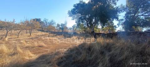 ? terreno rústico à venda – com árvores de fruto, apoio agrícola e poço de água!