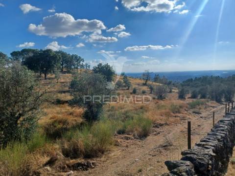 Terreno rústico 10,408 ha - portalegre