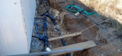 Olival super intensivo de 5,9ha à venda em cano- sousel