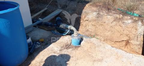 Olival super intensivo de 5,9ha à venda em cano- sousel