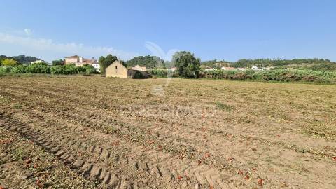 Oportunidade propriedade - ruina