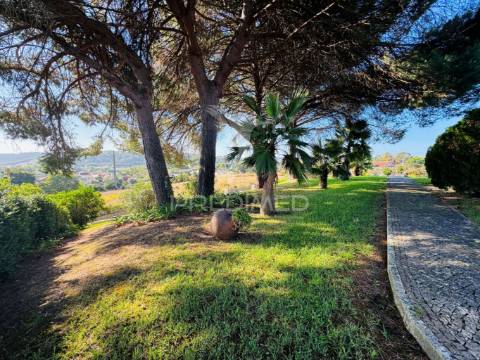 Moradia independente t6