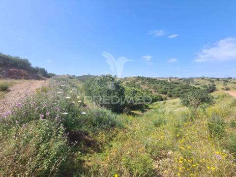 Terreno rústico castro marim