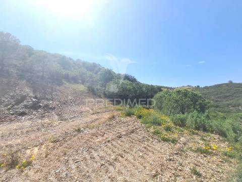 Terreno rústico castro marim