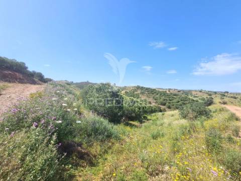 Terreno rústico castro marim