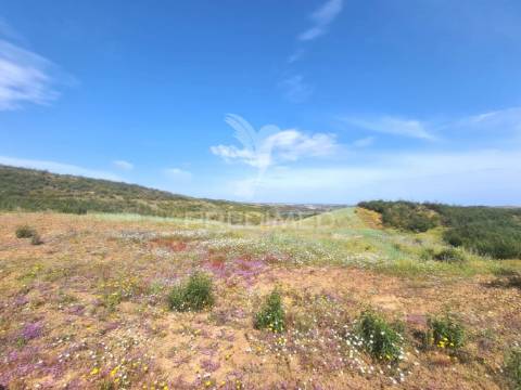 Terreno rústico castro marim