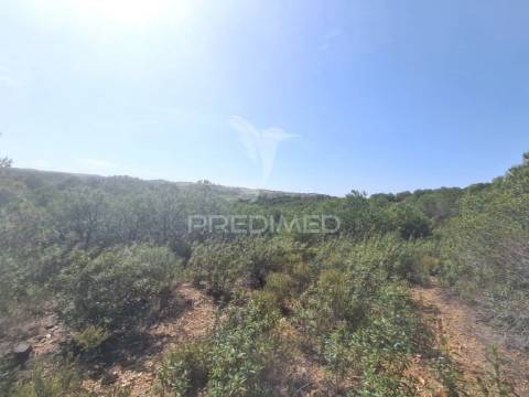 Terreno rústico castro marim