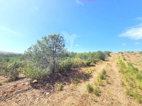 Terreno rústico castro marim