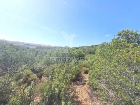 Terreno rústico castro marim