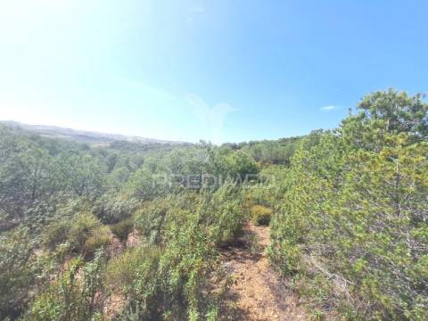 Terreno rústico castro marim