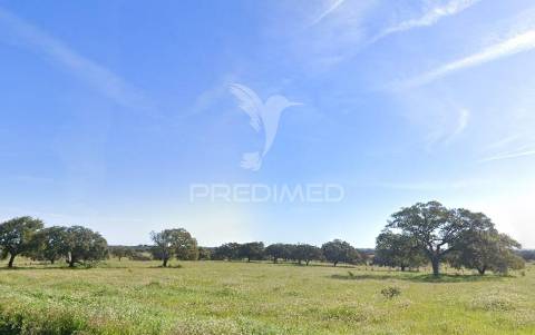 Herdade 170 ha mombeja - beja