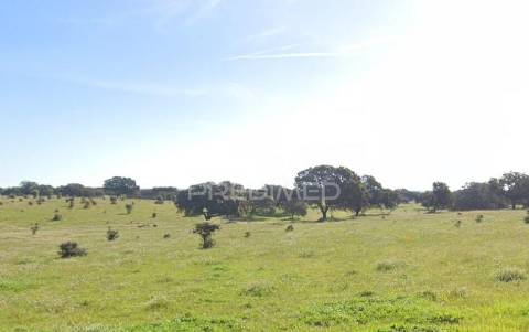 Herdade 170 ha mombeja - beja