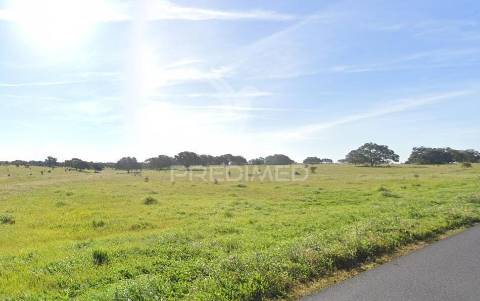 Herdade 170 ha mombeja - beja