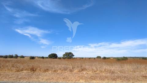 Terreno agrícola de sequeiro para venda – 12 hectares
