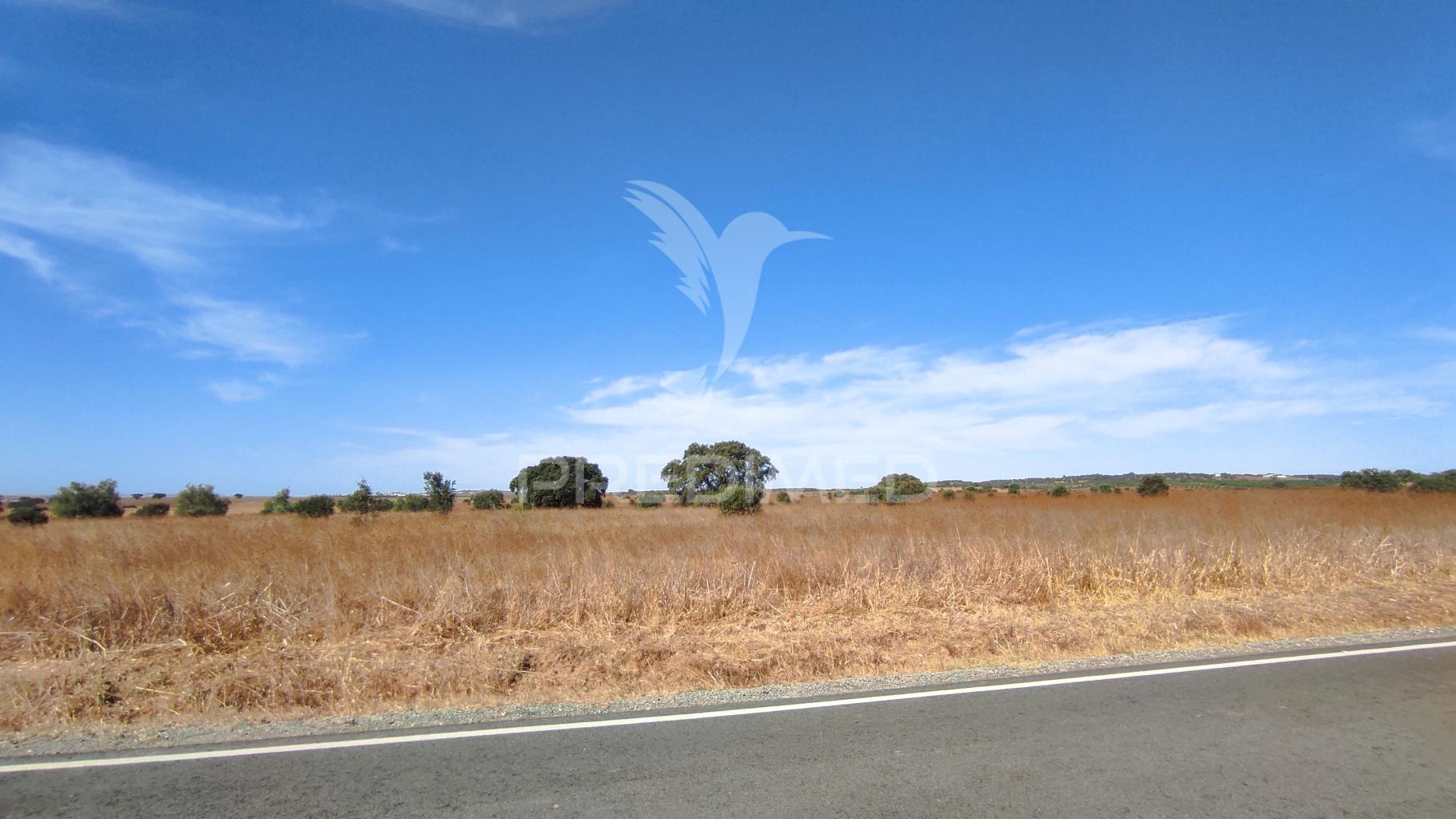 Terreno agrícola de sequeiro para venda – 12 hectares