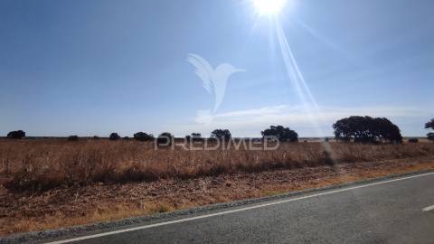 Terreno agrícola de sequeiro para venda – 12 hectares