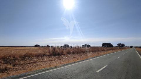 Terreno agrícola de sequeiro para venda – 12 hectares