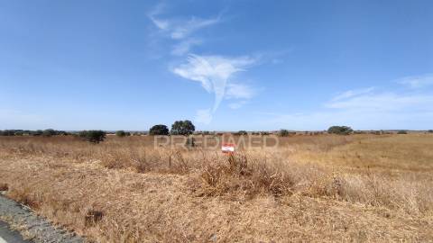 Terreno agrícola de sequeiro para venda – 12 hectares