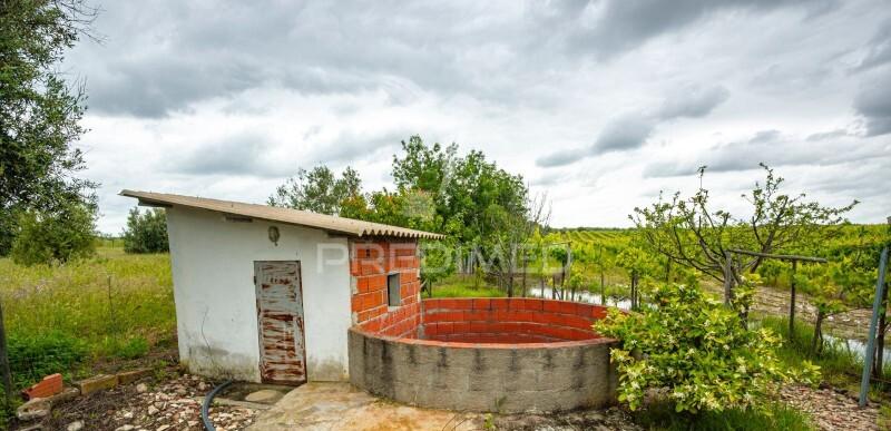 Vinha e alfaias para venda marque já a sua visita..