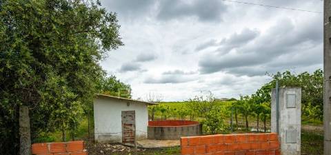 Vinha e alfaias para venda marque já a sua visita..