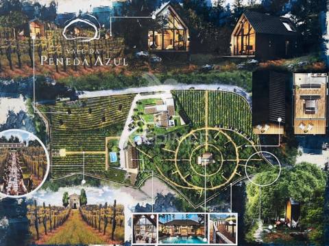 Quinta vale da peneda azul