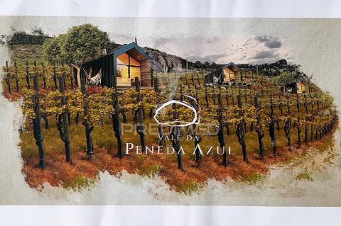 Quinta vale da peneda azul