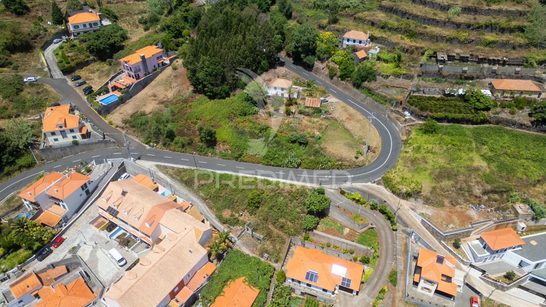 Terreno caniço