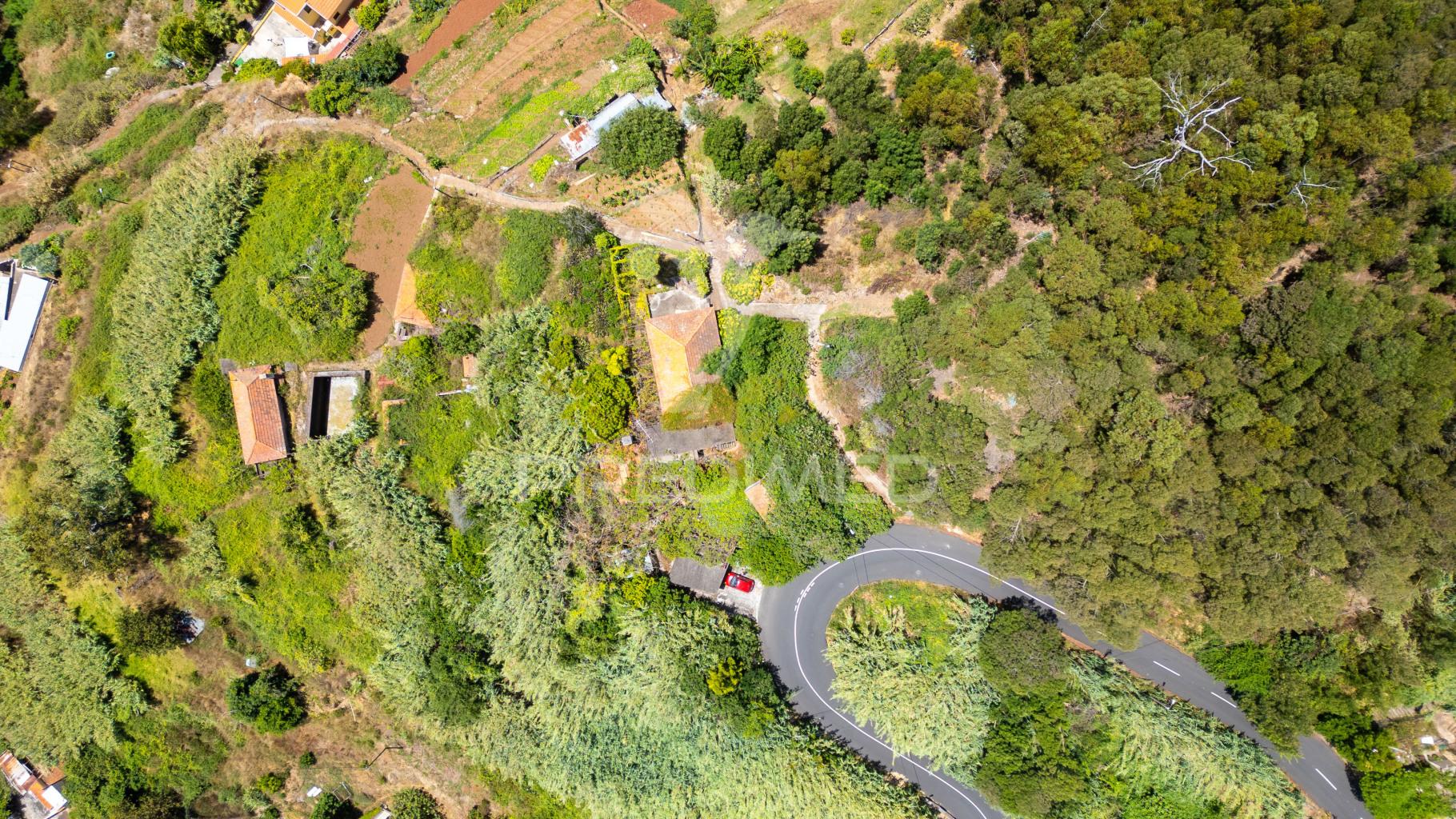 Terreno caniço