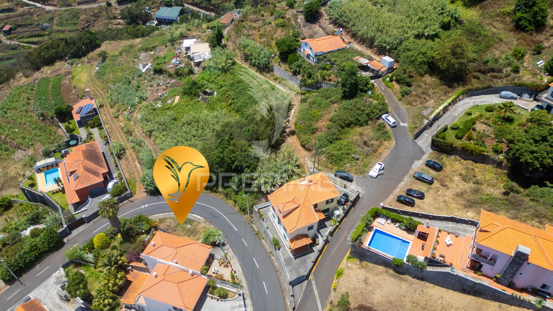 Terreno caniço
