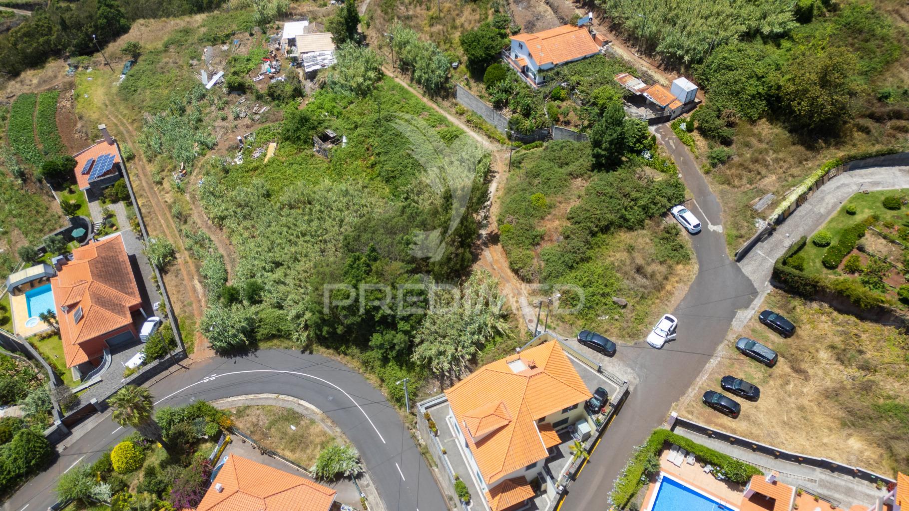 Terreno caniço