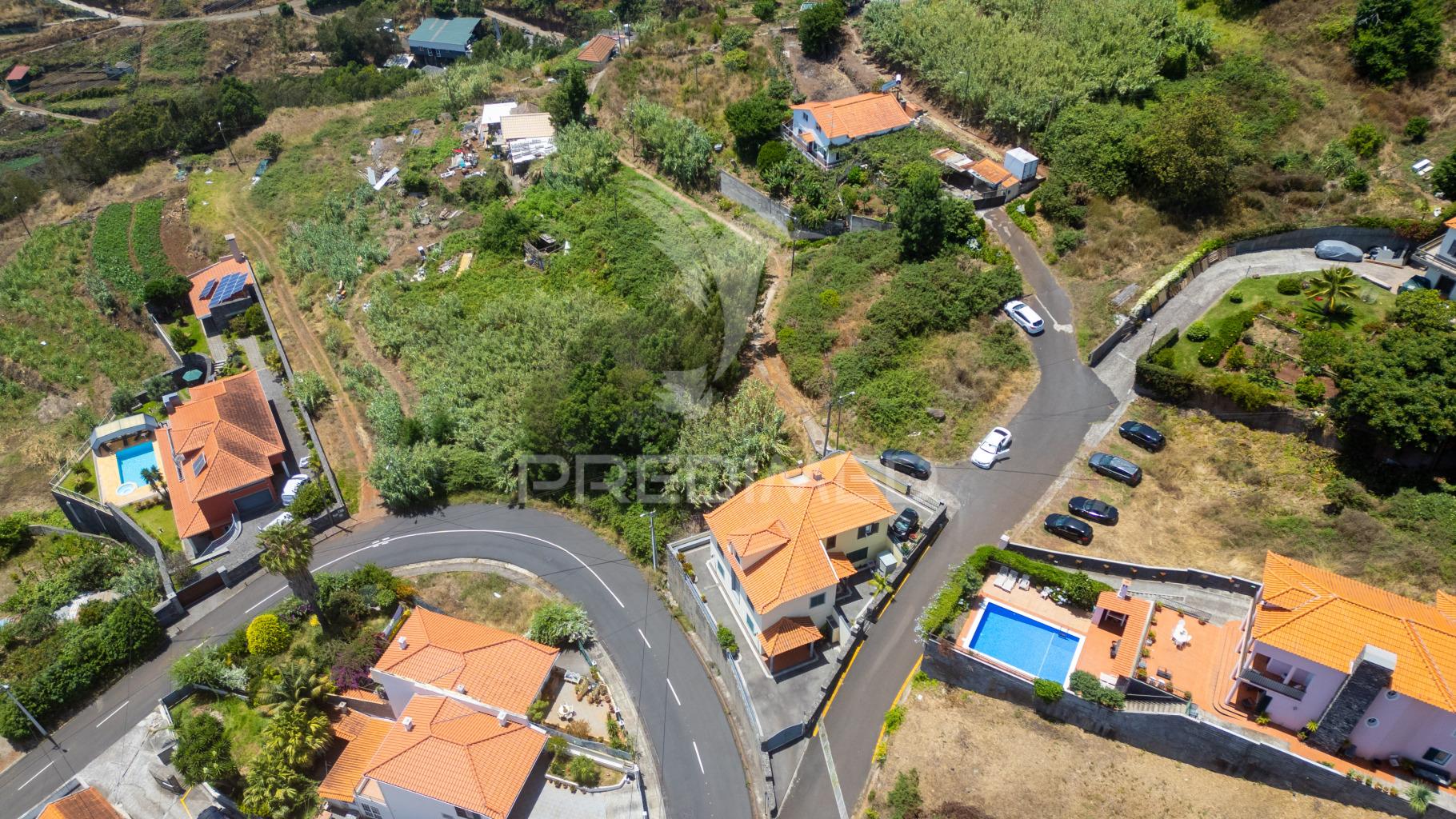 Terreno caniço